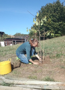 Anja pflanzt Baum 2018 09 2