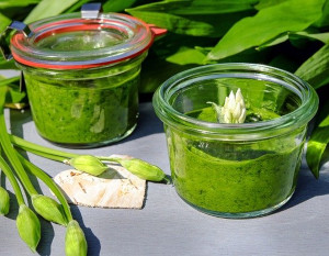 Bärlauch Pesto