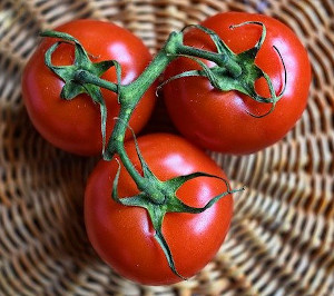 Tomaten