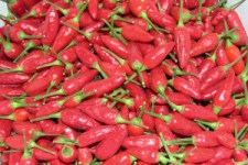 Culinaris_Chili_028-2